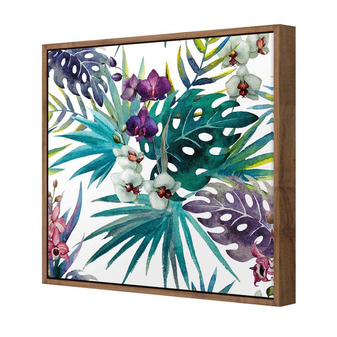 Orchid Exotica Canvas Art-Canvas-Wall Art Designs-30x30cm-Canvas - Natural Frame-Wall Art Designs