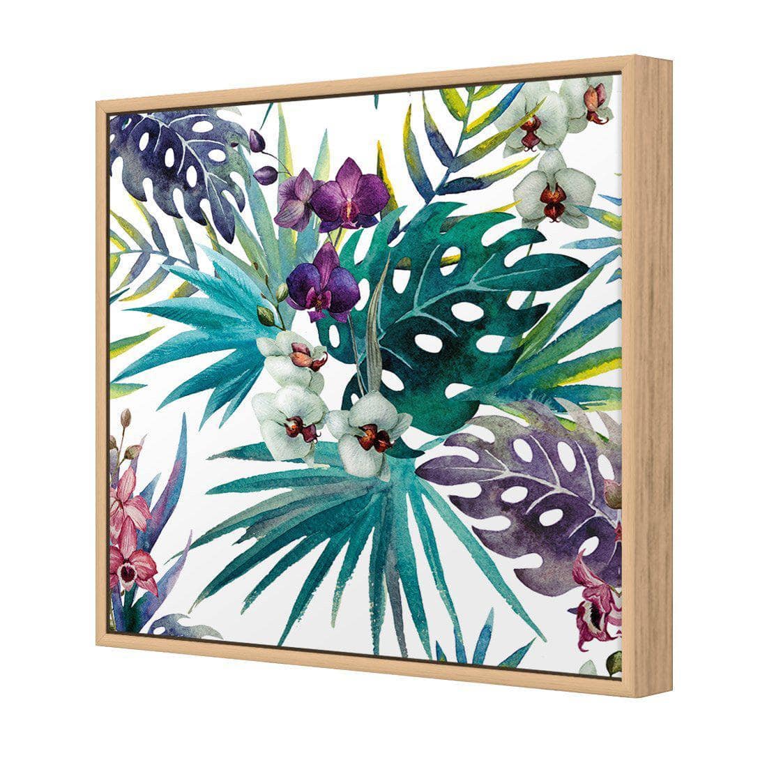 Orchid Exotica Canvas Art-Canvas-Wall Art Designs-30x30cm-Canvas - Oak Frame-Wall Art Designs
