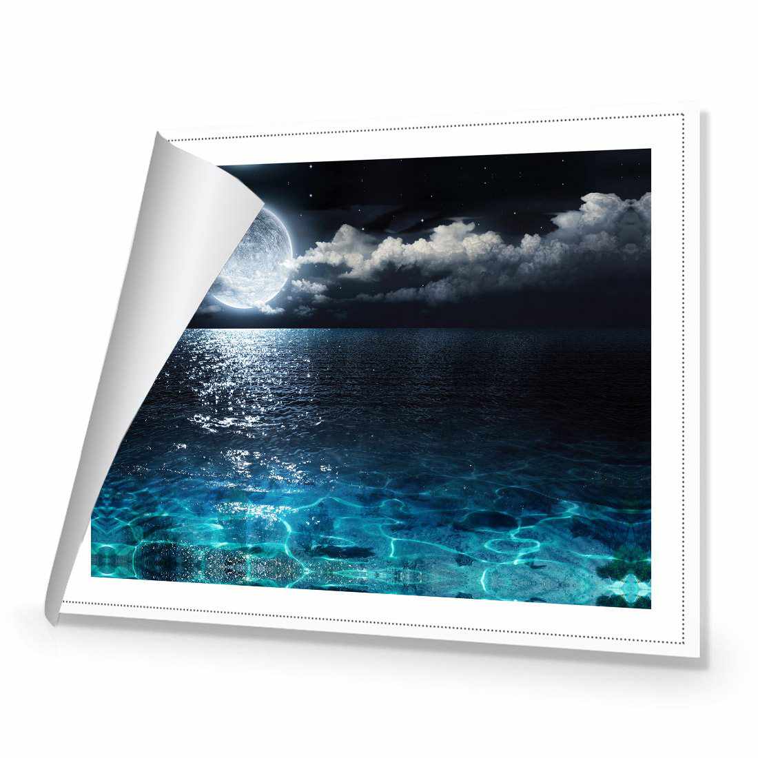 Moonlight Flit | Standard Canvas | No Frame | Rolled Canvas