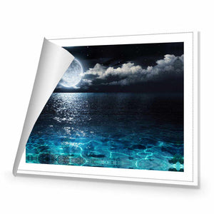 Moonlight Flit | Standard Canvas | No Frame | Rolled Canvas