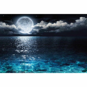 Moonlight Flit