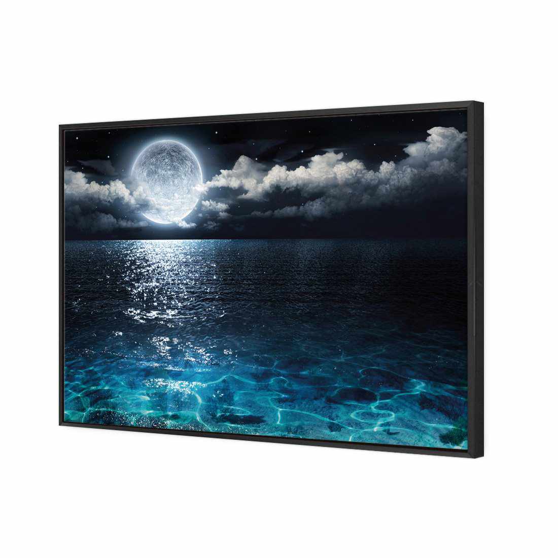 Moonlight Flit Canvas Art-Canvas-Wall Art Designs-45x30cm-Canvas - Black Frame-Wall Art Designs