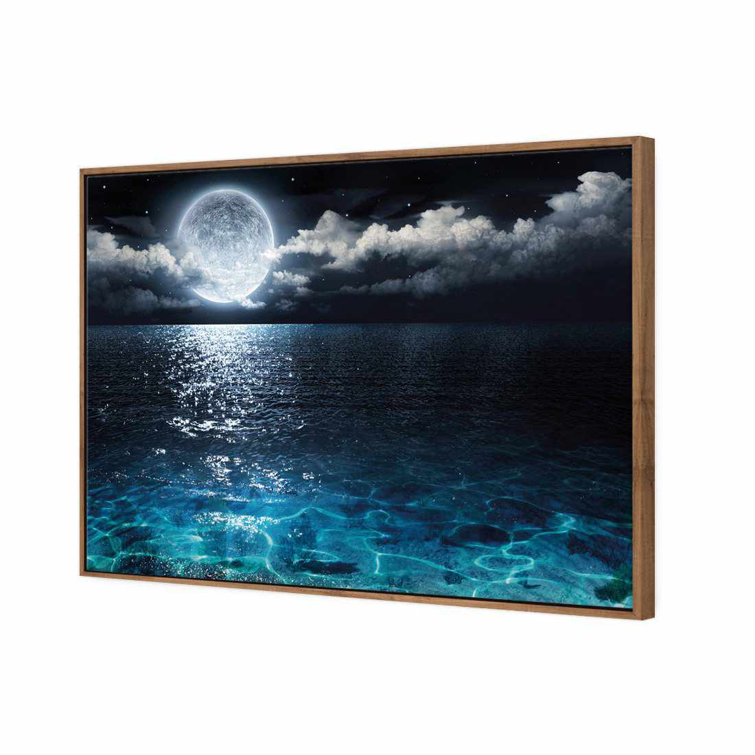 Moonlight Flit Canvas Art-Canvas-Wall Art Designs-45x30cm-Canvas - Natural Frame-Wall Art Designs