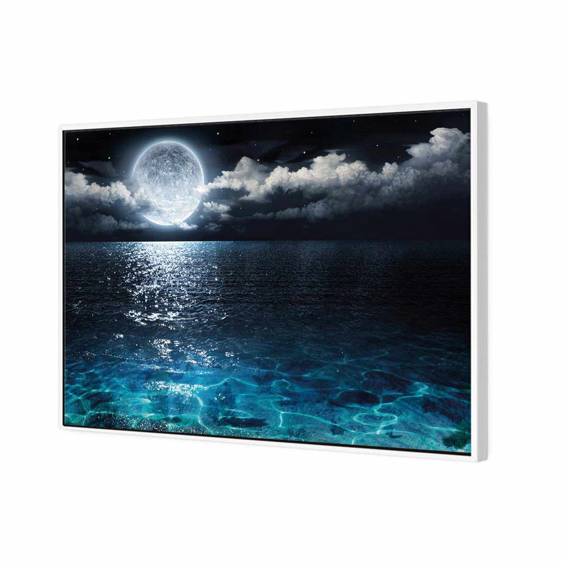 Moonlight Flit Canvas Art-Canvas-Wall Art Designs-45x30cm-Canvas - White Frame-Wall Art Designs
