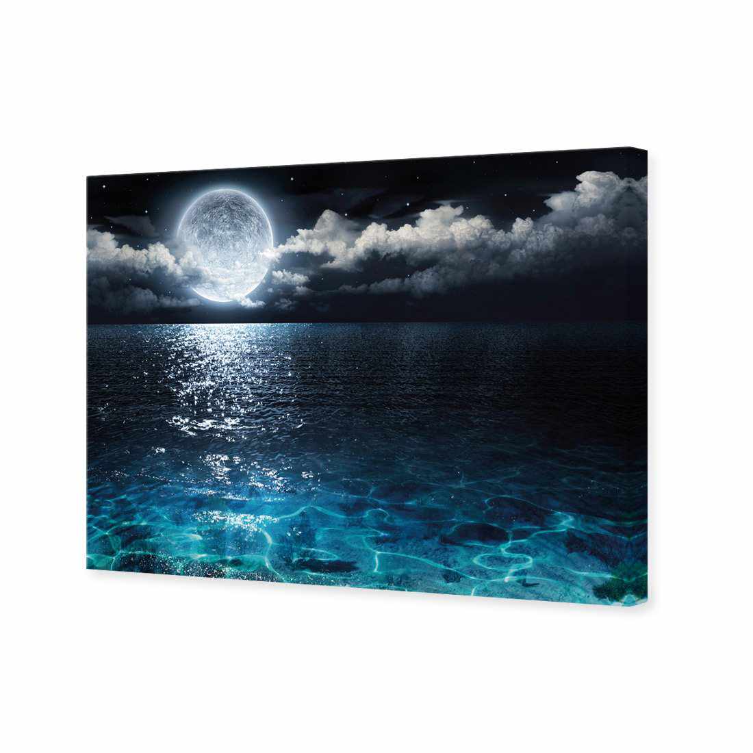 Moonlight Flit Canvas Art-Canvas-Wall Art Designs-45x30cm-Canvas - No Frame-Wall Art Designs