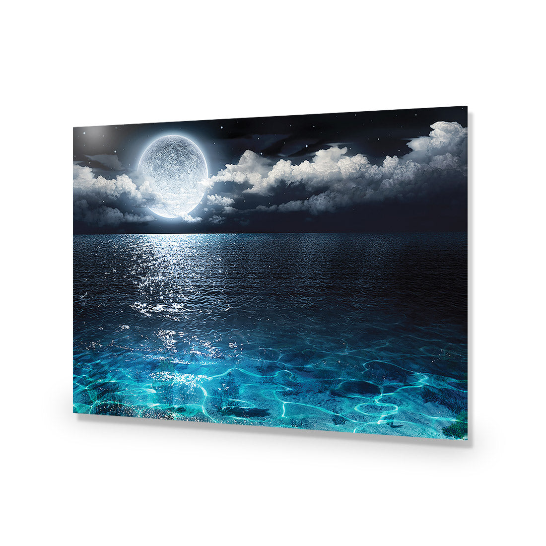 Moonlight Flit Acrylic Glass Art