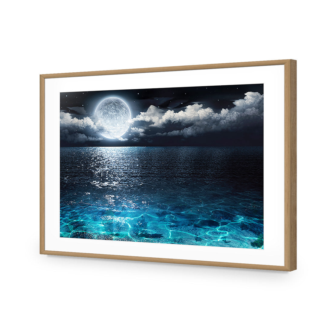 Moonlight Flit Acrylic Glass Art