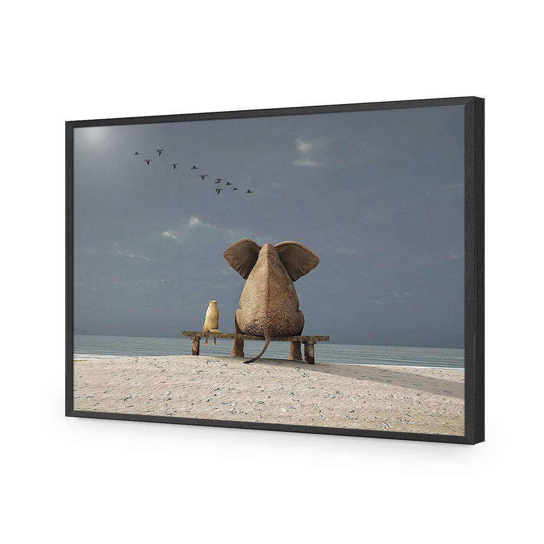 Little And Large-Acrylic-Wall Art Design-Without Border-Acrylic - Black Frame-45x30cm-Wall Art Designs