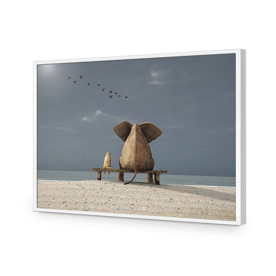 Little And Large-Acrylic-Wall Art Design-Without Border-Acrylic - White Frame-45x30cm-Wall Art Designs
