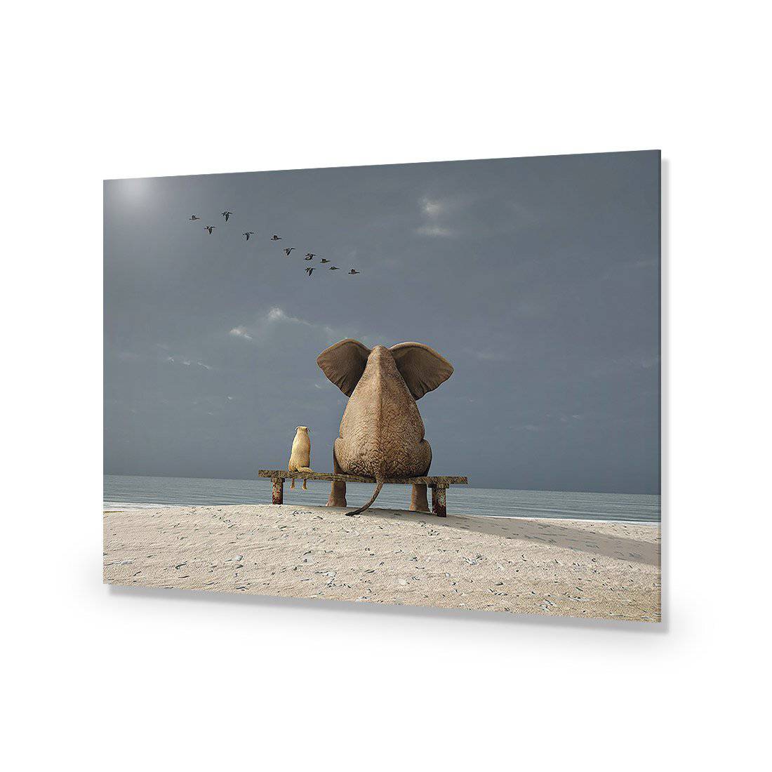 Little And Large-Acrylic-Wall Art Design-Without Border-Acrylic - No Frame-45x30cm-Wall Art Designs