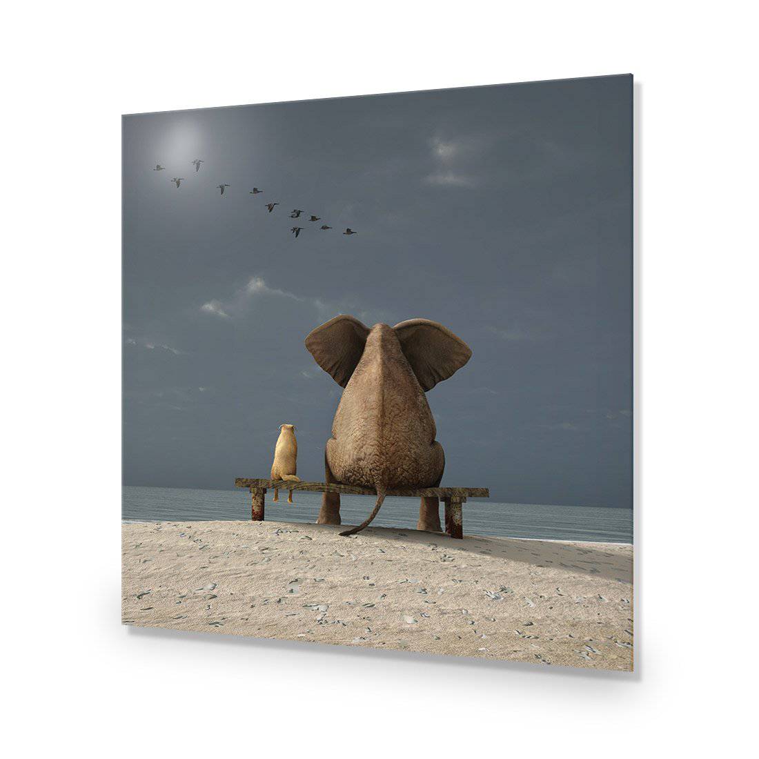 Little And Large, Square-Acrylic-Wall Art Design-Without Border-Acrylic - No Frame-37x37cm-Wall Art Designs
