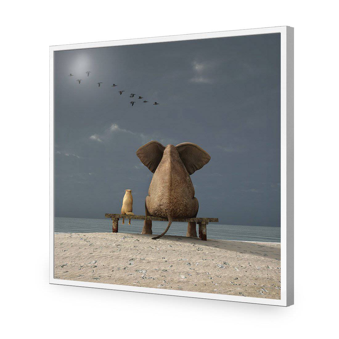 Little And Large, Square-Acrylic-Wall Art Design-Without Border-Acrylic - White Frame-37x37cm-Wall Art Designs