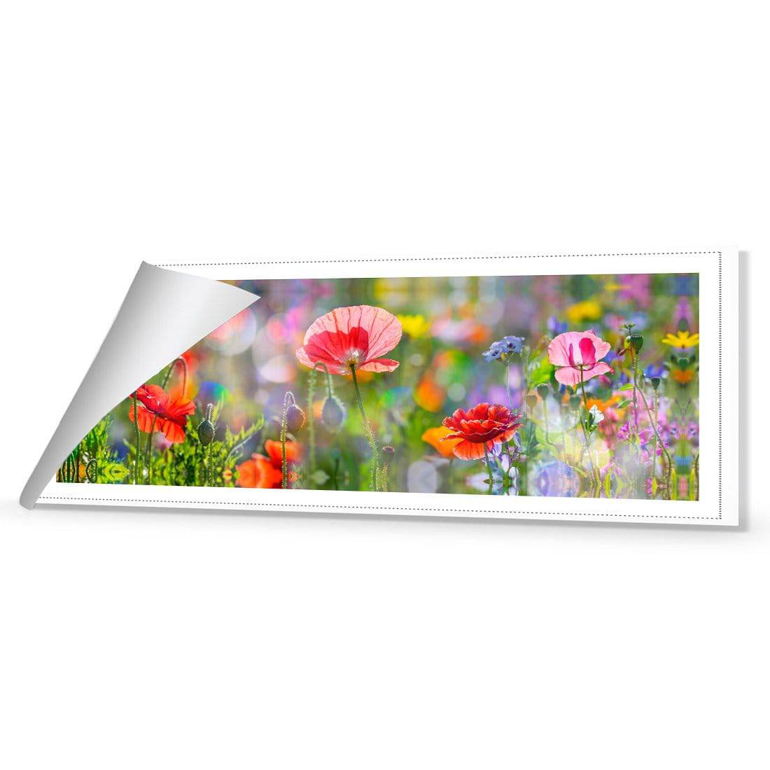 Poppy Panorama | Classic Canvas | No Frame | Rolled Canvas