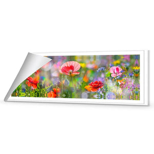 Poppy Panorama | Classic Canvas | No Frame | Rolled Canvas