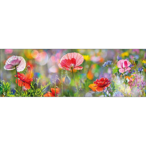 Poppy Panorama