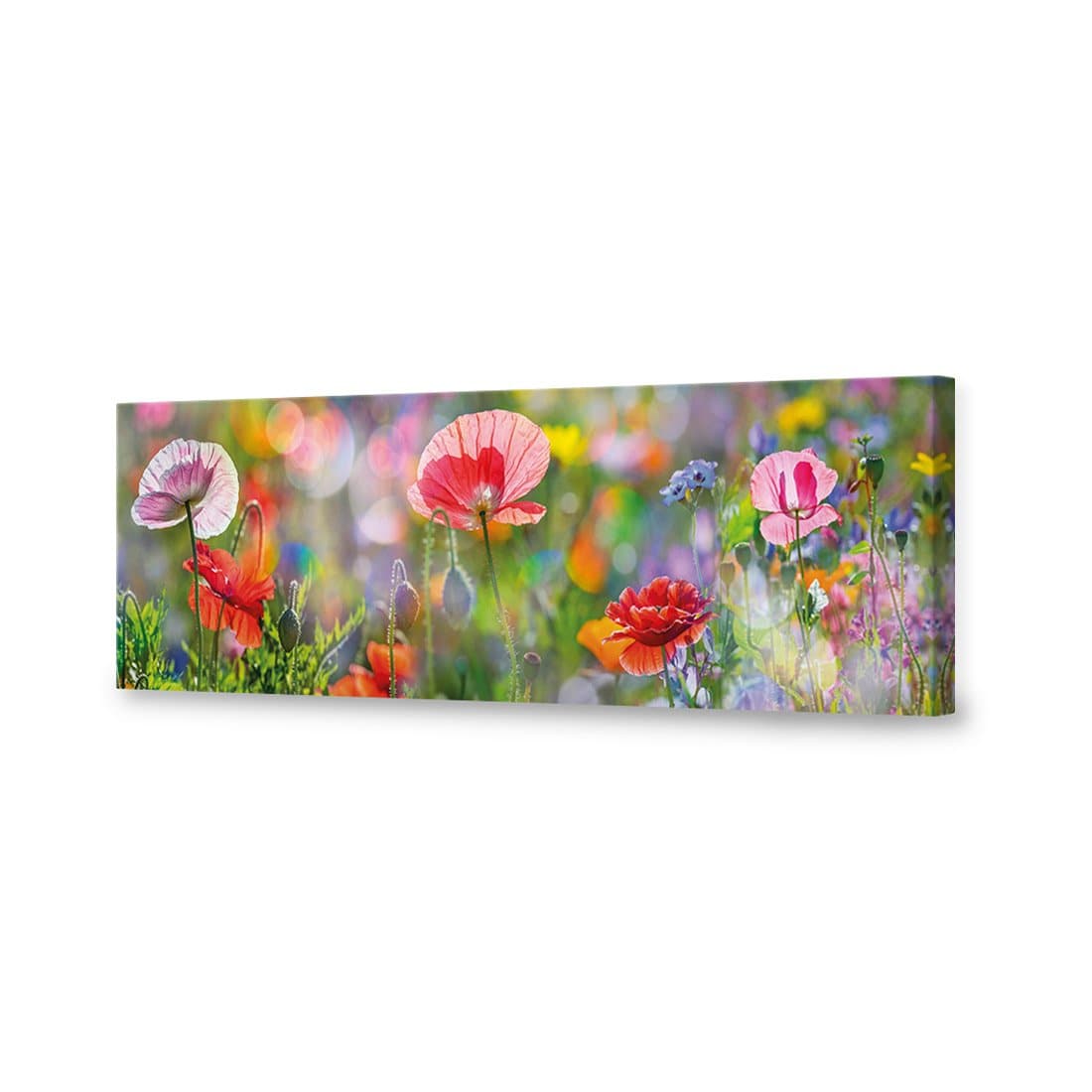 Poppy Panorama Canvas Art-Canvas-Wall Art Designs-60x20cm-Canvas - No Frame-Wall Art Designs