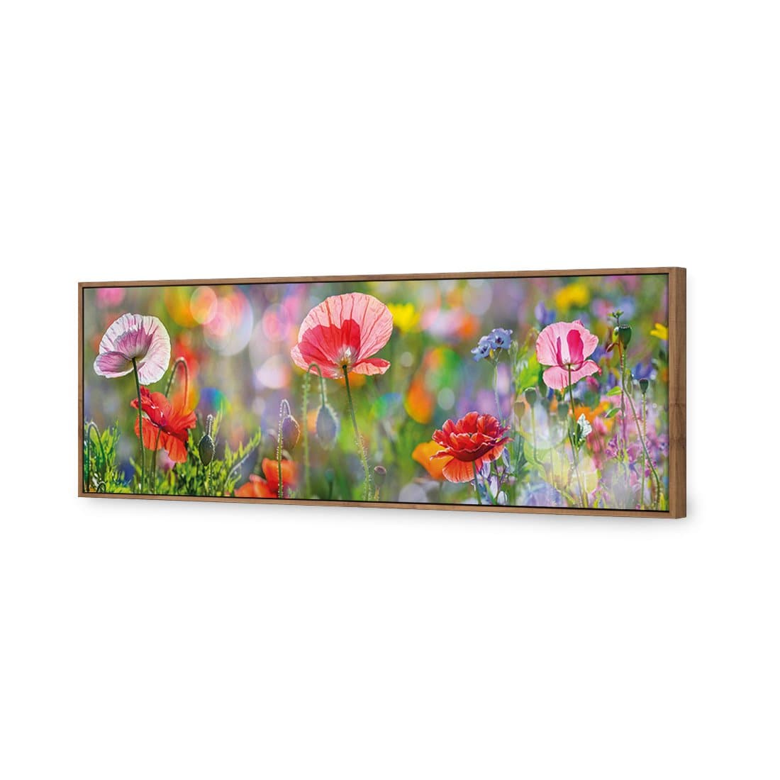 Poppy Panorama Canvas Art-Canvas-Wall Art Designs-60x20cm-Canvas - Natural Frame-Wall Art Designs