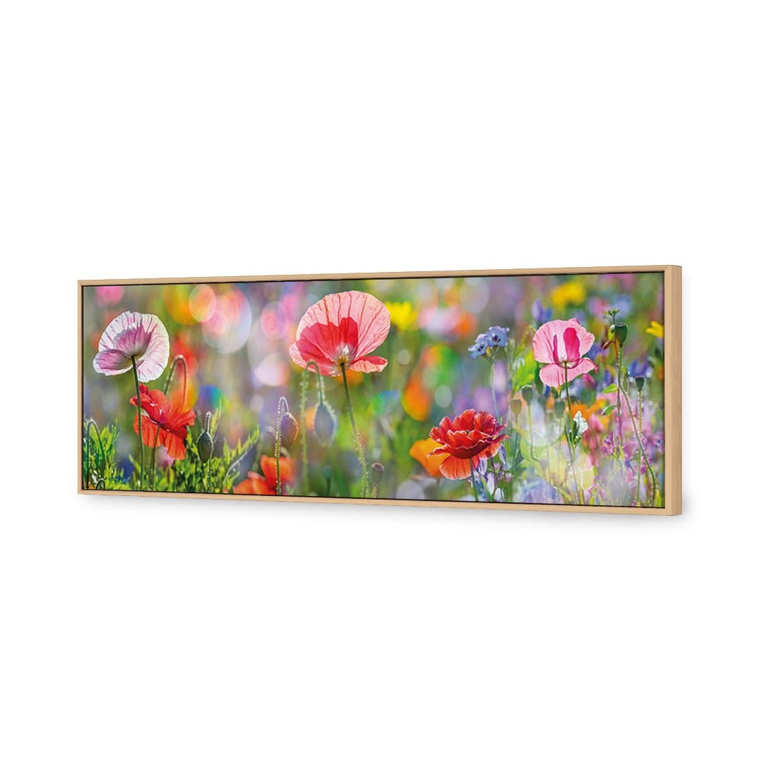 Poppy Panorama Canvas Art-Canvas-Wall Art Designs-60x20cm-Canvas - Oak Frame-Wall Art Designs