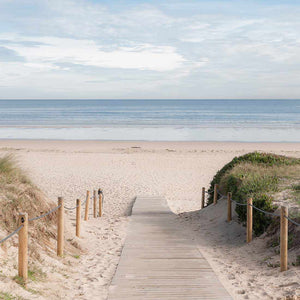 Pathway To The Sea, Square