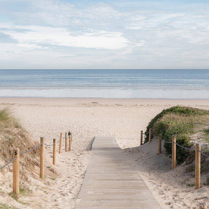 Pathway To The Sea, Square