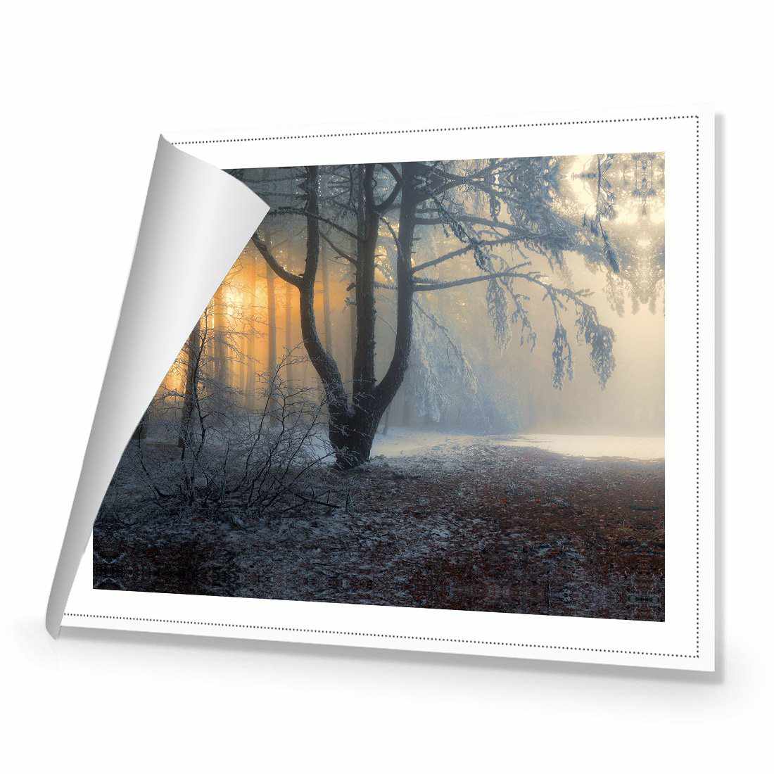 Winter Forest Pond Canvas Art-Canvas-Wall Art Designs-45x30cm-Rolled Canvas-Wall Art Designs