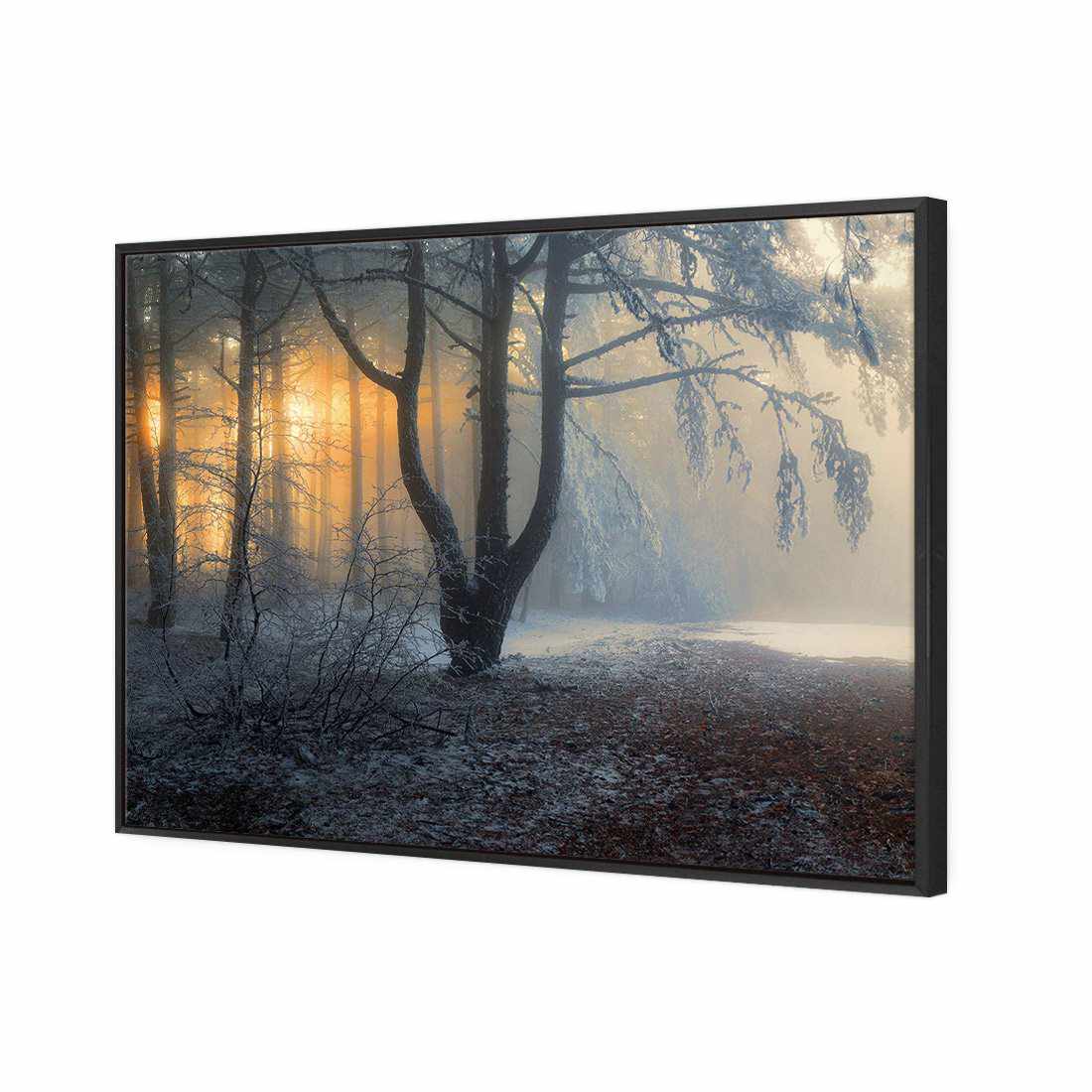Winter Forest Pond Canvas Art-Canvas-Wall Art Designs-45x30cm-Canvas - Black Frame-Wall Art Designs