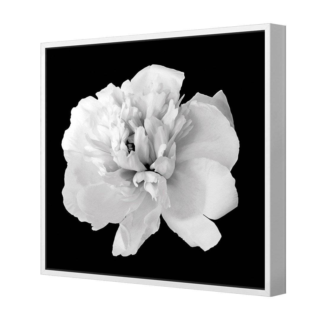 Salubrious Peony Canvas Art-Canvas-Wall Art Designs-30x30cm-Canvas - White Frame-Wall Art Designs