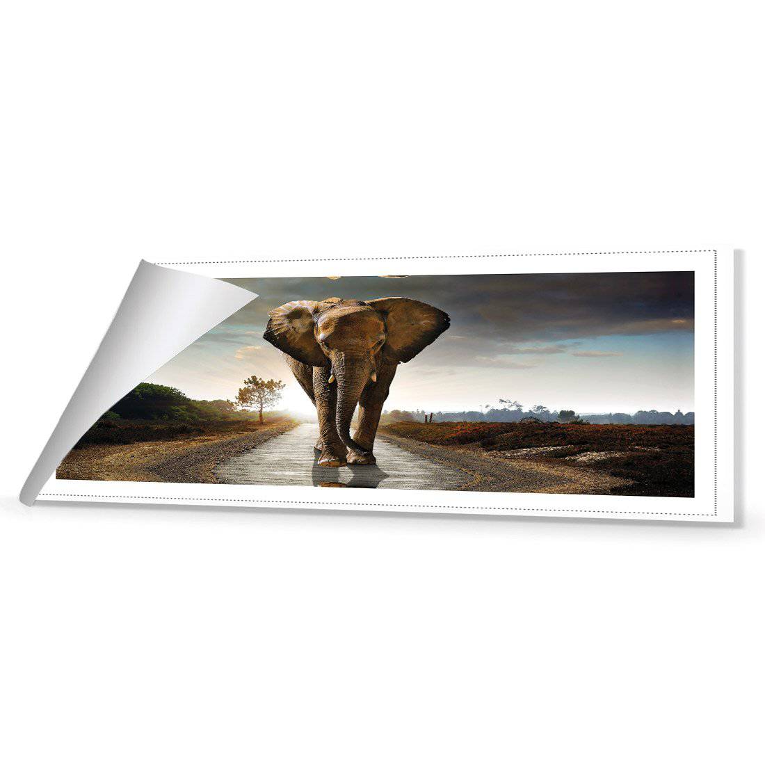 Determined Elephant (Long) Canvas Art-Canvas-Wall Art Designs-60x20cm-Rolled Canvas-Wall Art Designs