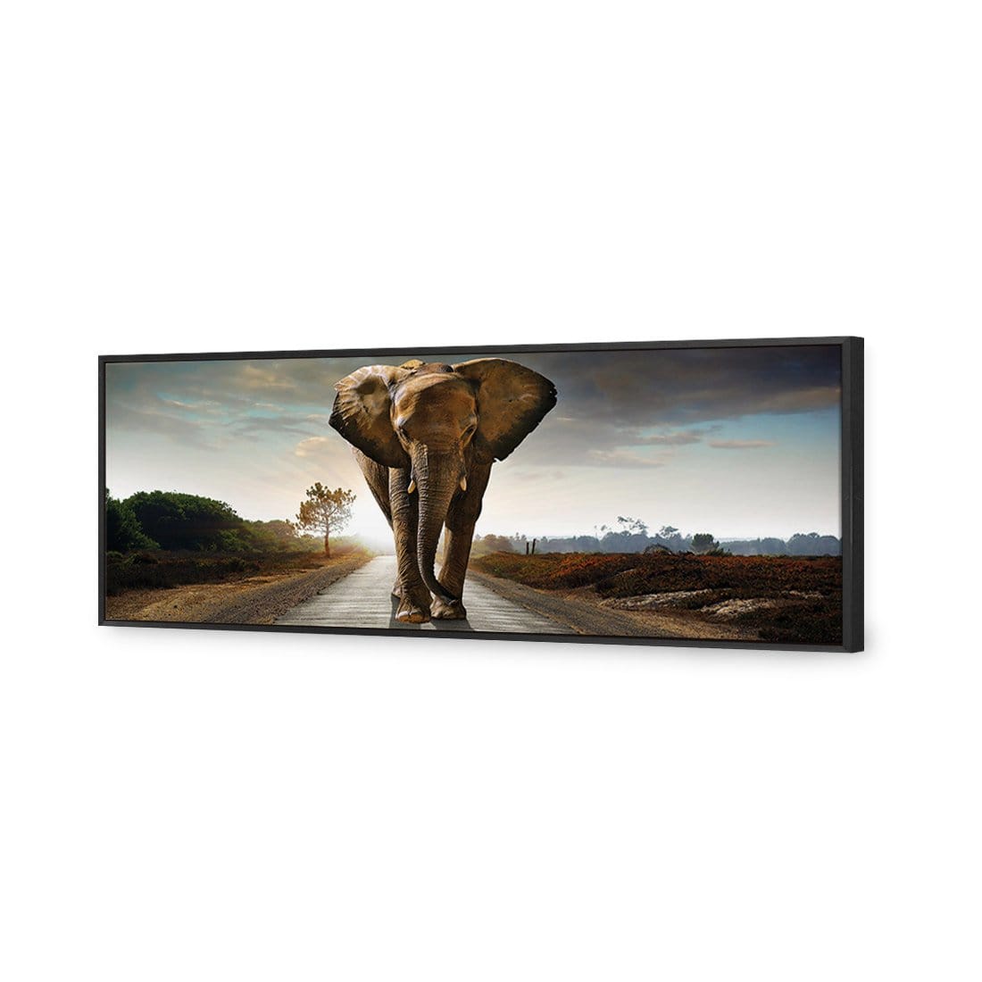 Determined Elephant (Long) Canvas Art-Canvas-Wall Art Designs-60x20cm-Canvas - Black Frame-Wall Art Designs
