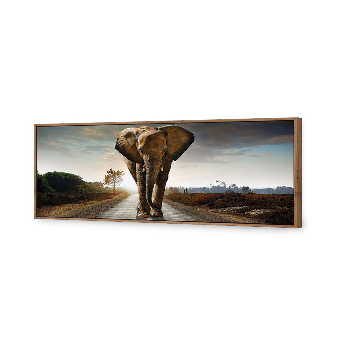 Determined Elephant (Long) Canvas Art-Canvas-Wall Art Designs-60x20cm-Canvas - Natural Frame-Wall Art Designs