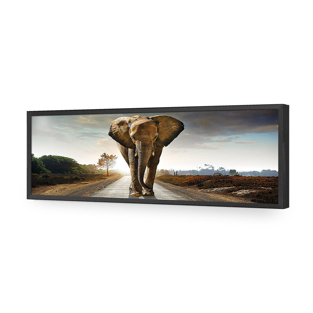 Determined Elephant, Long Acrylic Glass Art-Acrylic-Wall Art Design-Without Border-Acrylic - Black Frame-60x20cm-Wall Art Designs