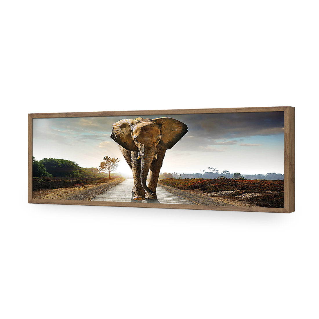 Determined Elephant, Long Acrylic Glass Art-Acrylic-Wall Art Design-Without Border-Acrylic - Natural Frame-60x20cm-Wall Art Designs