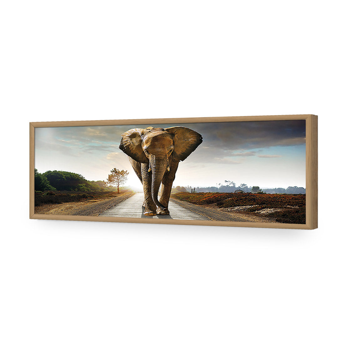 Determined Elephant, Long Acrylic Glass Art-Acrylic-Wall Art Design-Without Border-Acrylic - Oak Frame-60x20cm-Wall Art Designs
