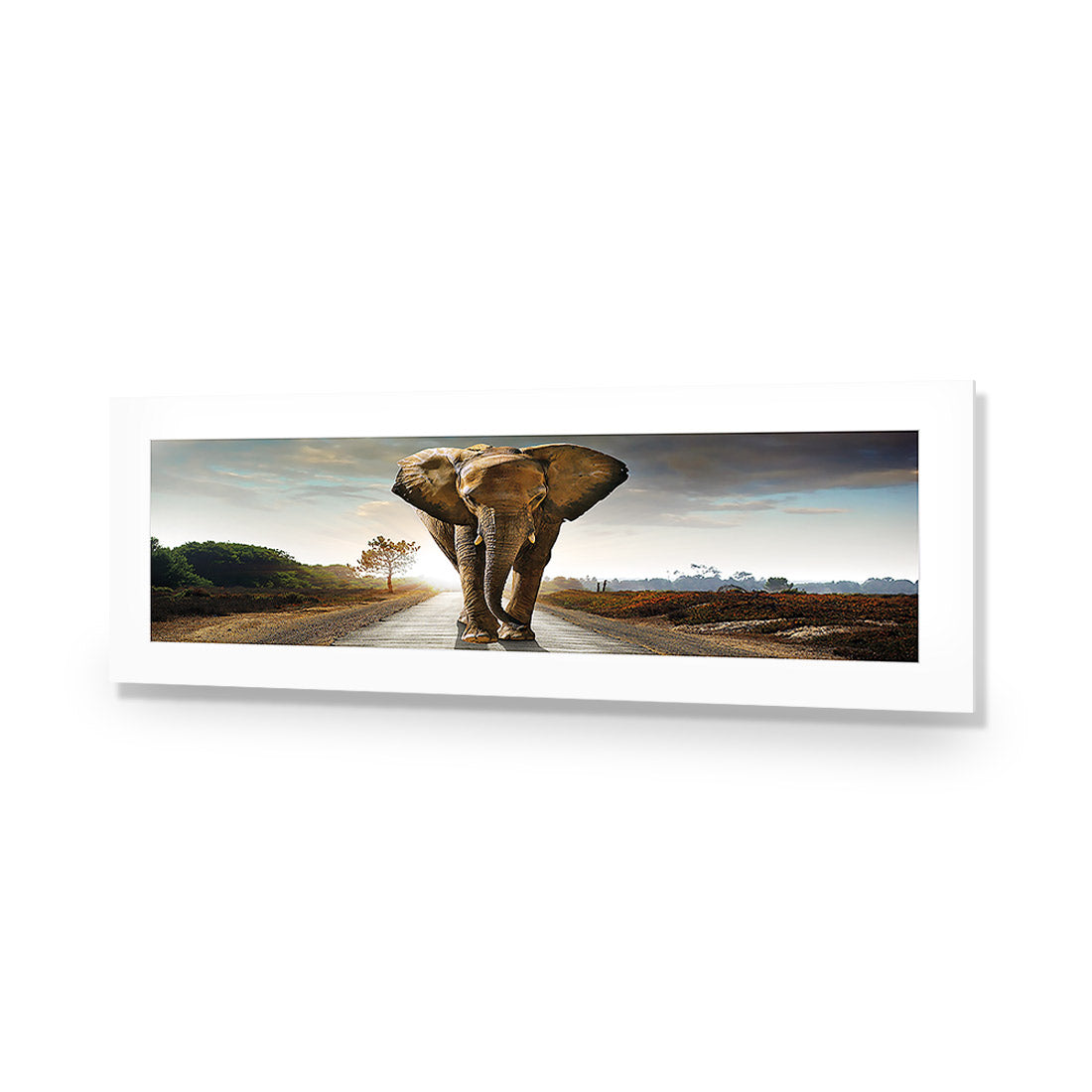 Determined Elephant, Long Acrylic Glass Art-Acrylic-Wall Art Design-With Border-Acrylic - No Frame-60x20cm-Wall Art Designs