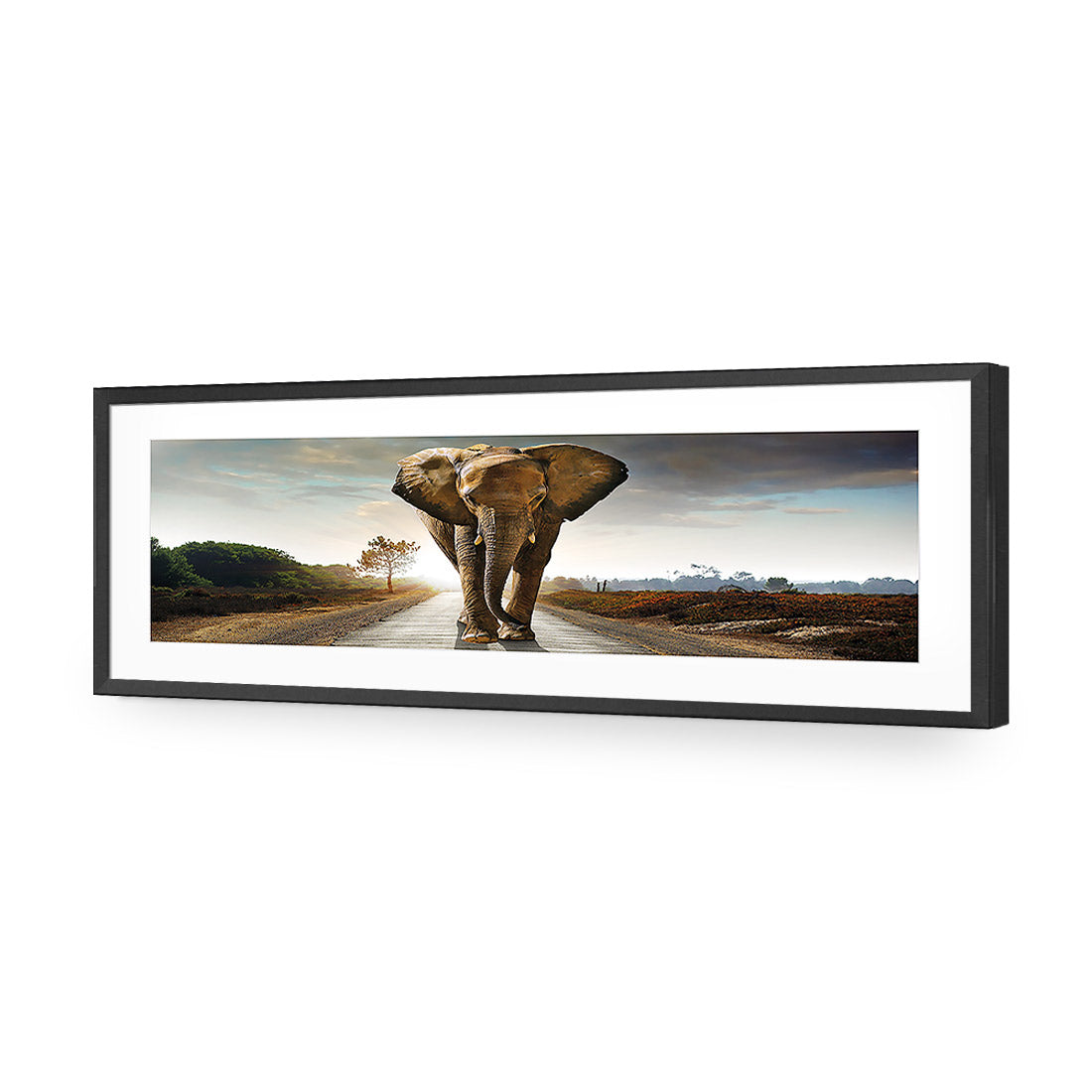 Determined Elephant, Long Acrylic Glass Art-Acrylic-Wall Art Design-With Border-Acrylic - Black Frame-60x20cm-Wall Art Designs