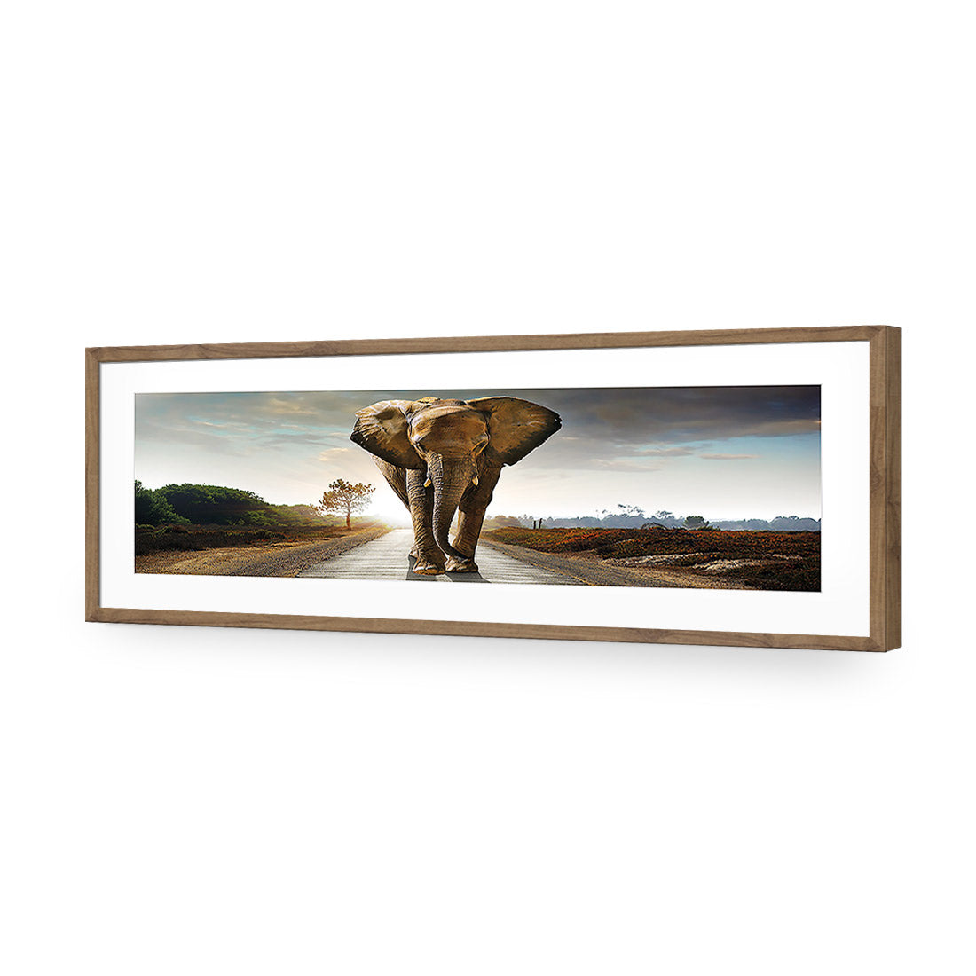 Determined Elephant, Long Acrylic Glass Art-Acrylic-Wall Art Design-With Border-Acrylic - Natural Frame-60x20cm-Wall Art Designs