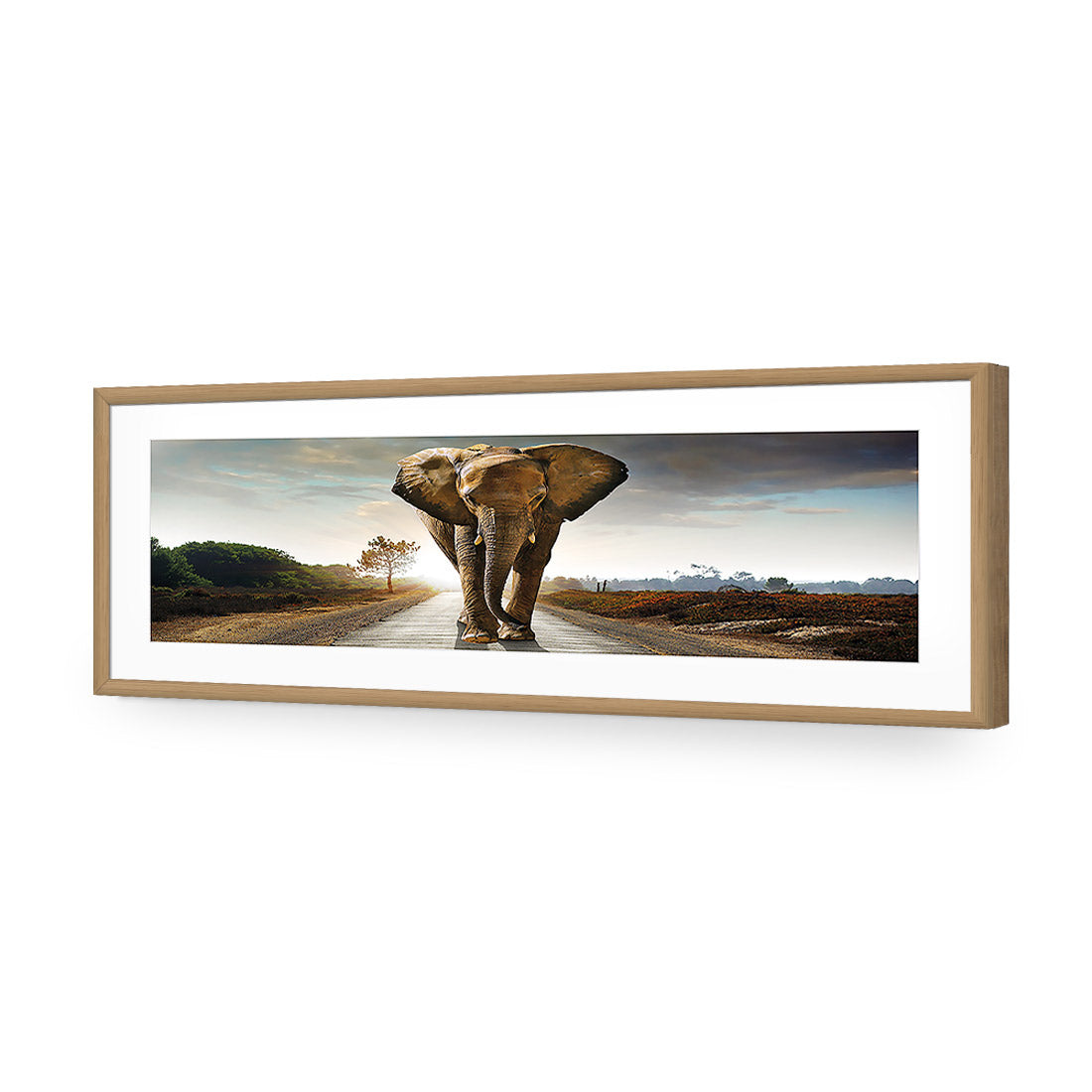 Determined Elephant, Long Acrylic Glass Art-Acrylic-Wall Art Design-With Border-Acrylic - Oak Frame-60x20cm-Wall Art Designs