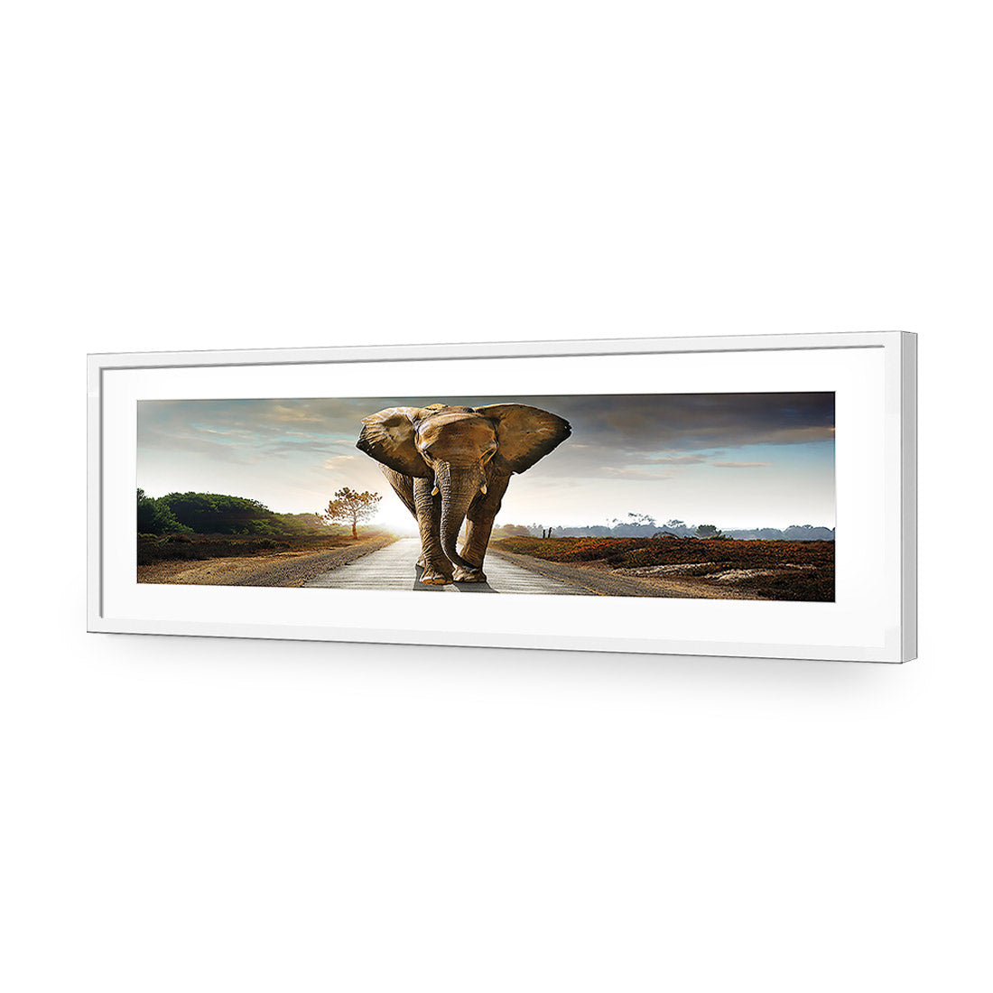 Determined Elephant, Long Acrylic Glass Art-Acrylic-Wall Art Design-With Border-Acrylic - White Frame-60x20cm-Wall Art Designs
