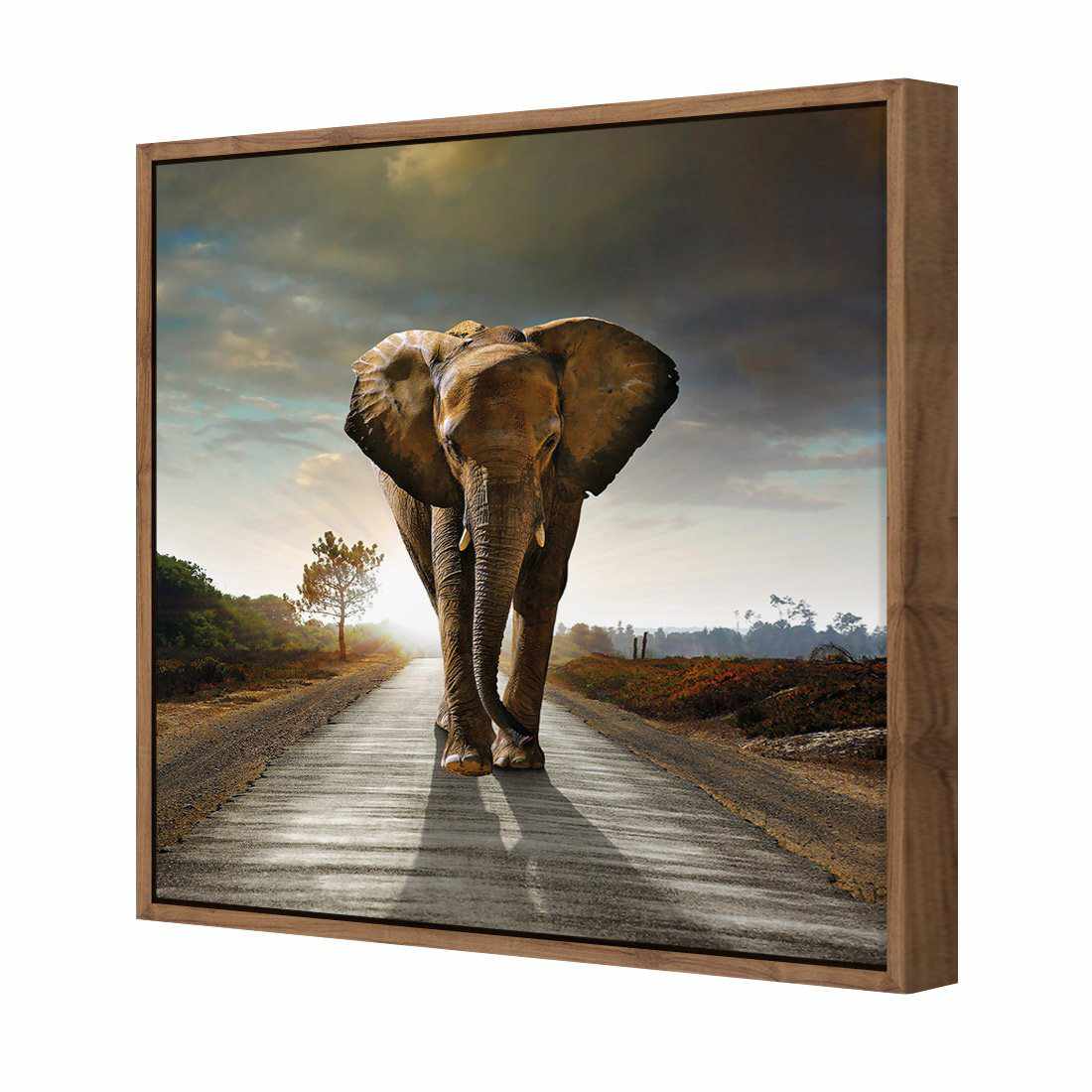 Determined Elephant Canvas Art-Canvas-Wall Art Designs-30x30cm-Canvas - Natural Frame-Wall Art Designs
