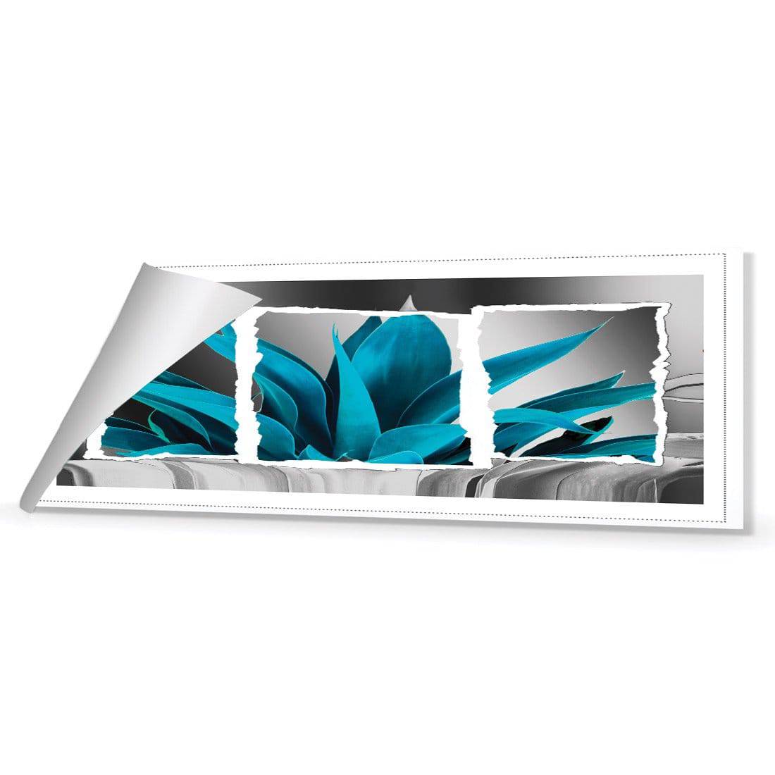 Plant In Window, Turquoise Canvas Art-Canvas-Wall Art Designs-60x20cm-Rolled Canvas-Wall Art Designs