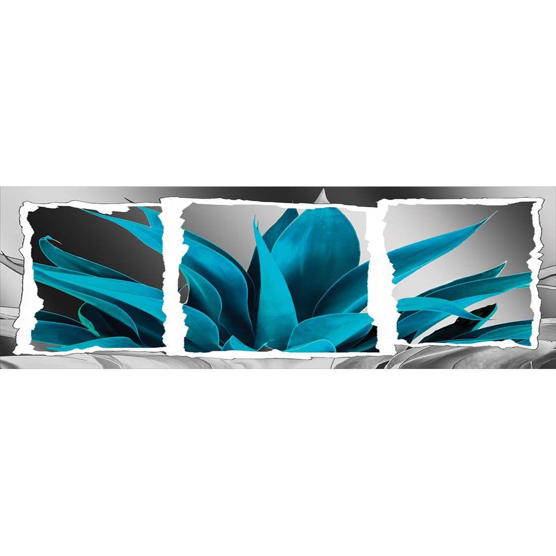 Plant In Window, Turquoise Canvas Art-Canvas-Wall Art Designs-60x20cm-Canvas - No Frame-Wall Art Designs