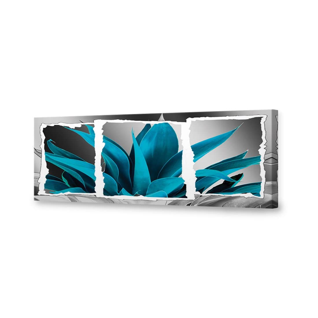 Plant In Window, Turquoise Canvas Art-Canvas-Wall Art Designs-60x20cm-Canvas - No Frame-Wall Art Designs
