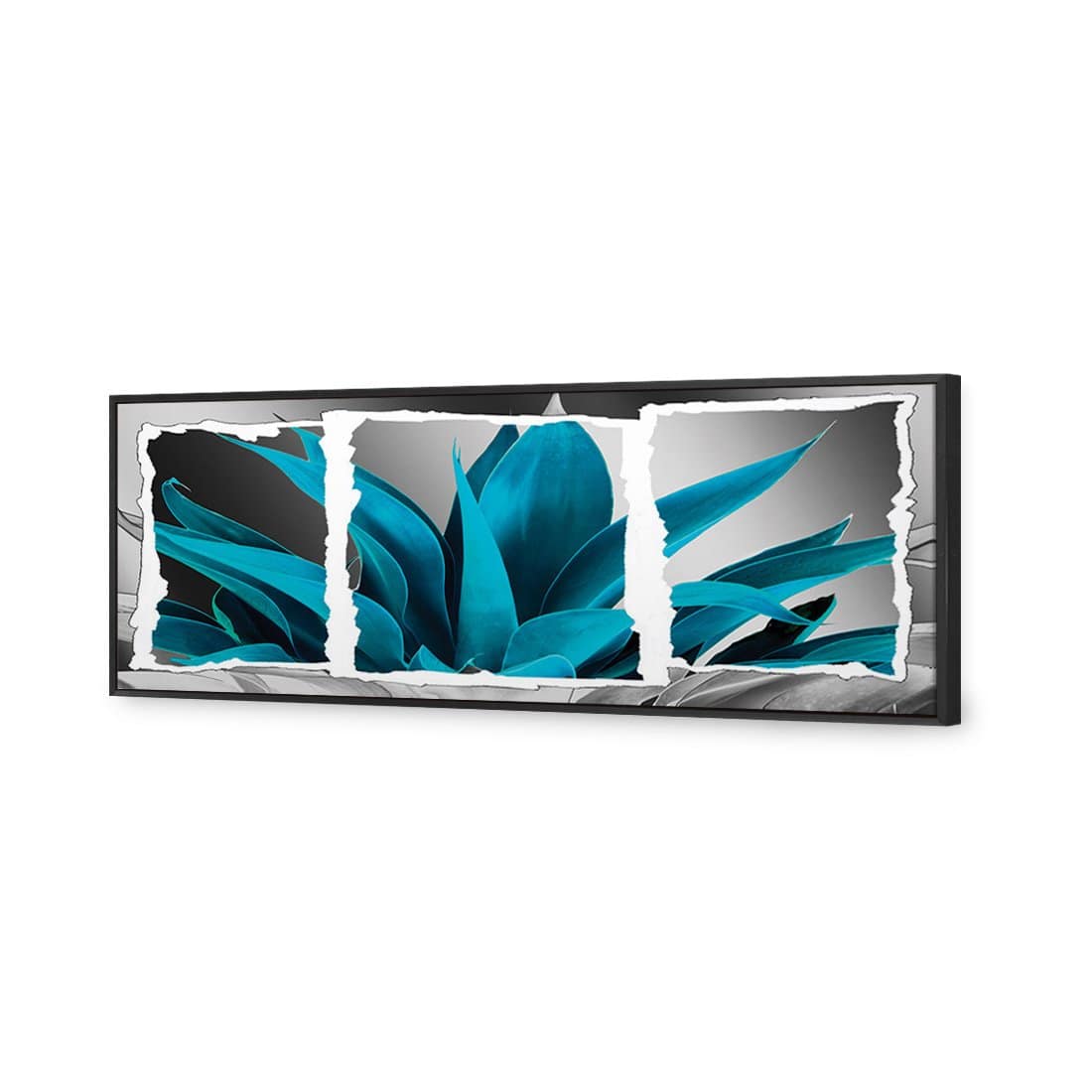 Plant In Window, Turquoise Canvas Art-Canvas-Wall Art Designs-60x20cm-Canvas - Black Frame-Wall Art Designs