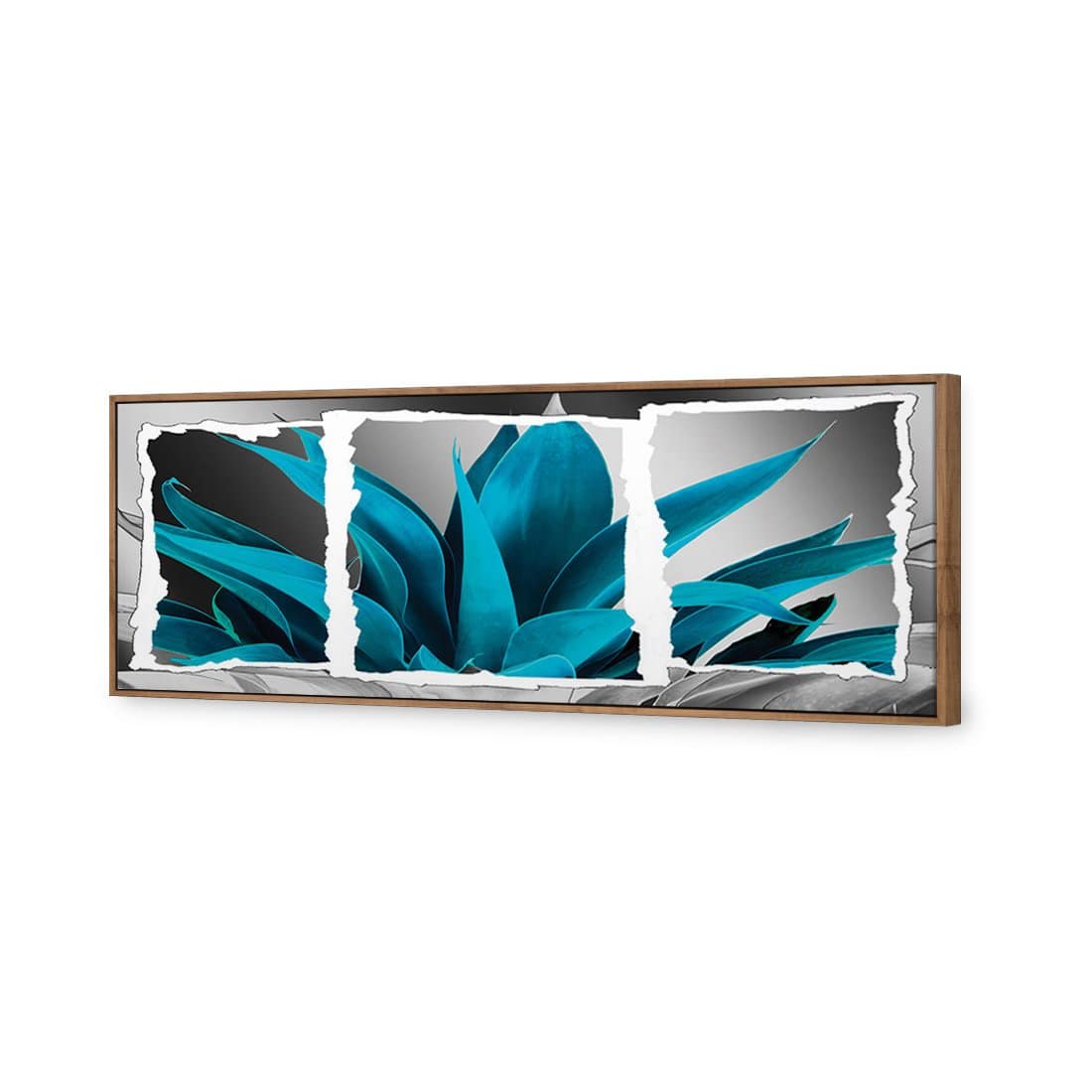 Plant In Window, Turquoise Canvas Art-Canvas-Wall Art Designs-60x20cm-Canvas - Natural Frame-Wall Art Designs