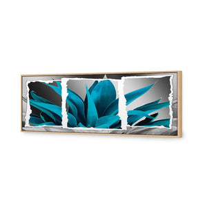 Plant In Window, Turquoise, Long | Standard Canvas | Floating Frame | Oak