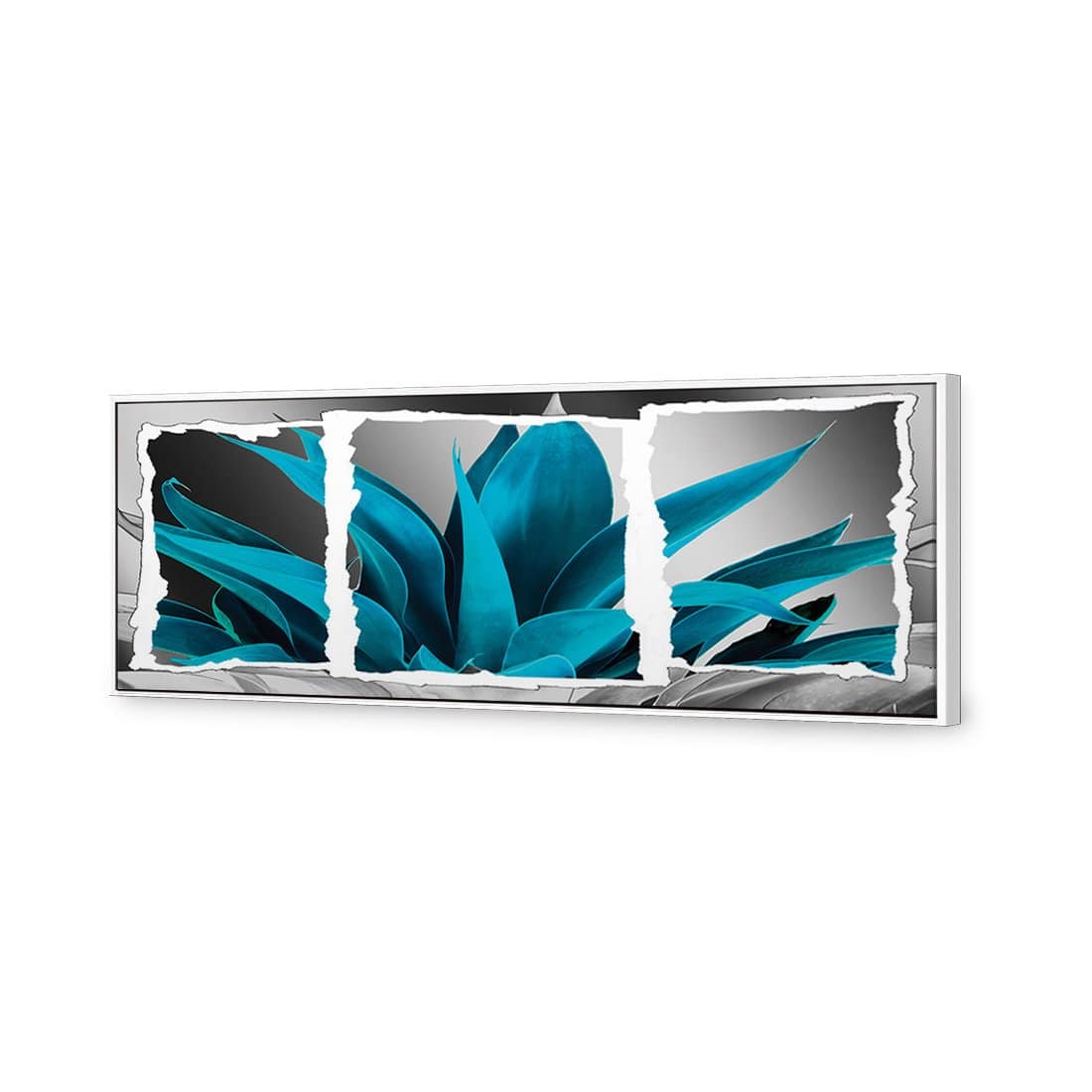 Plant In Window, Turquoise Canvas Art-Canvas-Wall Art Designs-60x20cm-Canvas - White Frame-Wall Art Designs