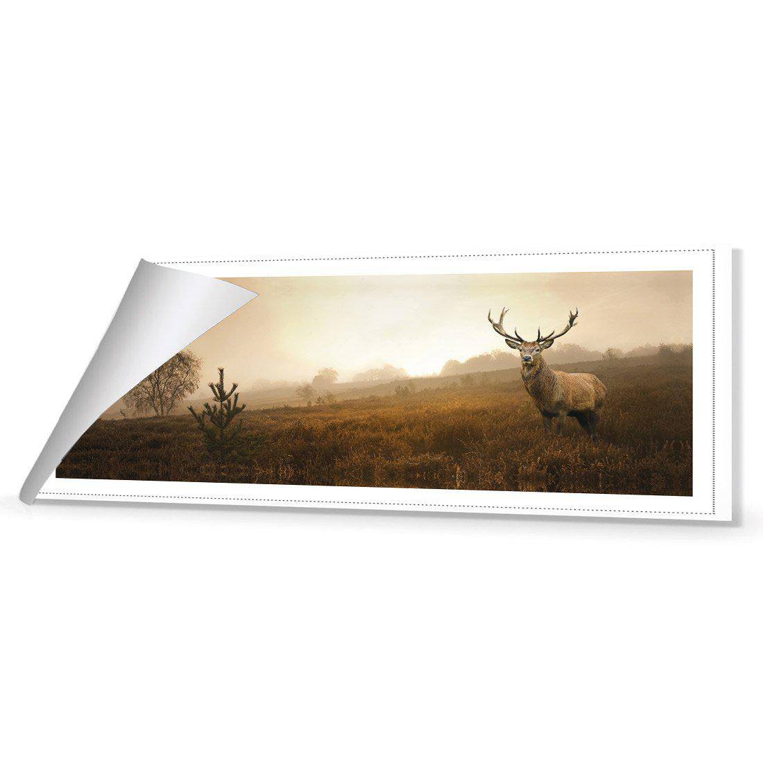 Morning Stag Canvas Art-Canvas-Wall Art Designs-60x20cm-Rolled Canvas-Wall Art Designs