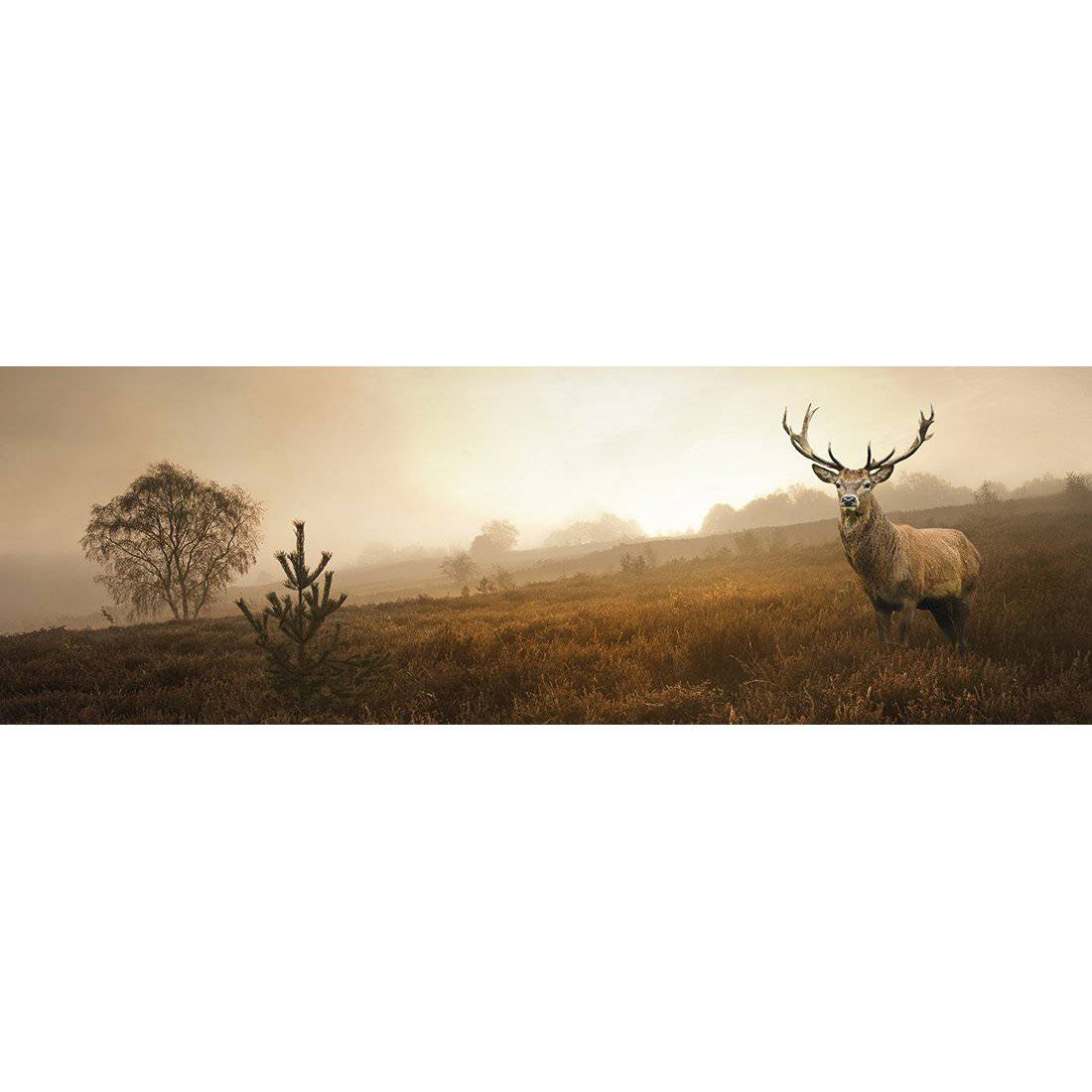 Morning Stag, Long-Acrylic-Wall Art Design-With Border-Acrylic - No Frame-60x20cm-Wall Art Designs