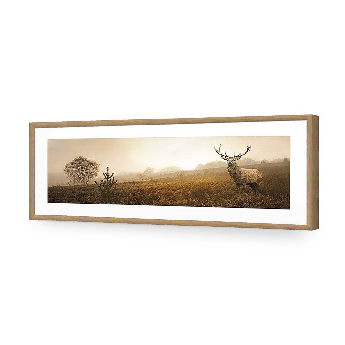 Morning Stag, Long-Acrylic-Wall Art Design-With Border-Acrylic - Oak Frame-60x20cm-Wall Art Designs