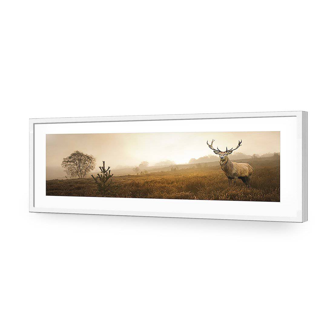 Morning Stag, Long-Acrylic-Wall Art Design-With Border-Acrylic - White Frame-60x20cm-Wall Art Designs